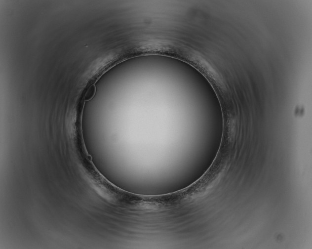 X0000101140490200807071129