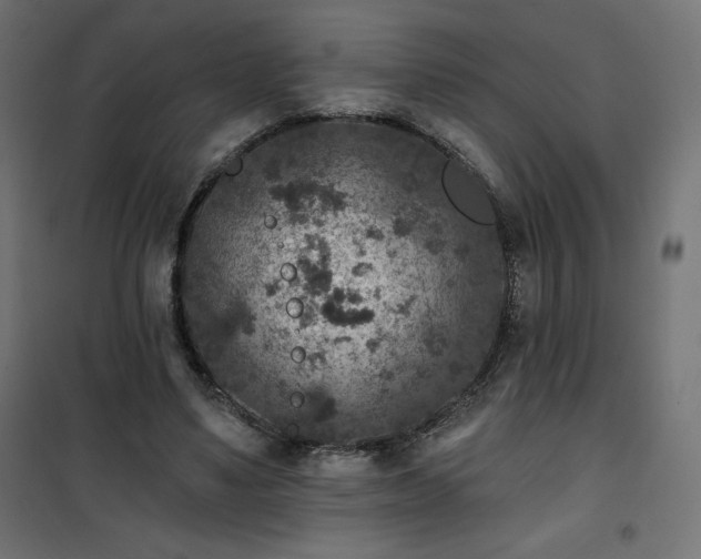 X0000101140491200807071129