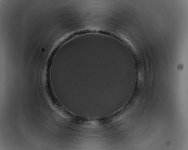 X0000101140492200807071129