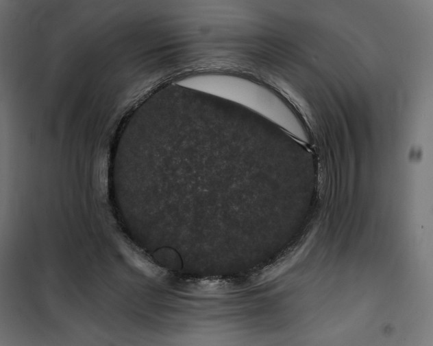 X0000101140493200807071129