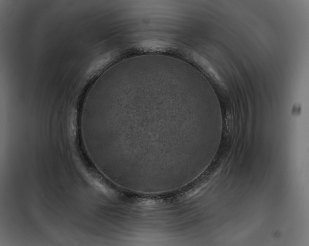 X0000101140494200807071129