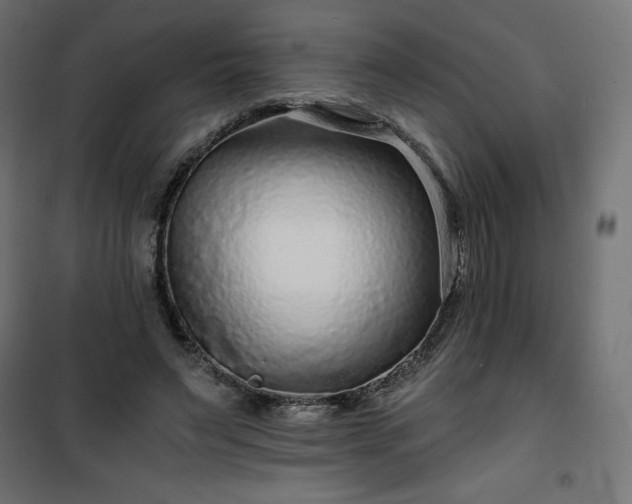 X0000101140495200807071129