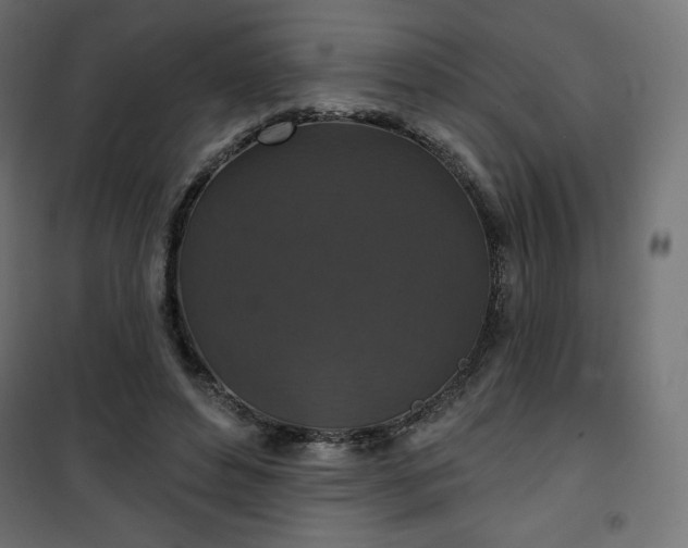 X0000101140496200807071129