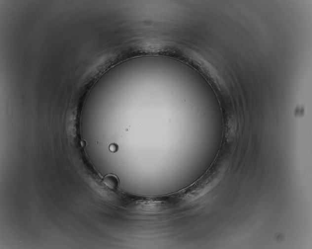 X0000101140497200807071129