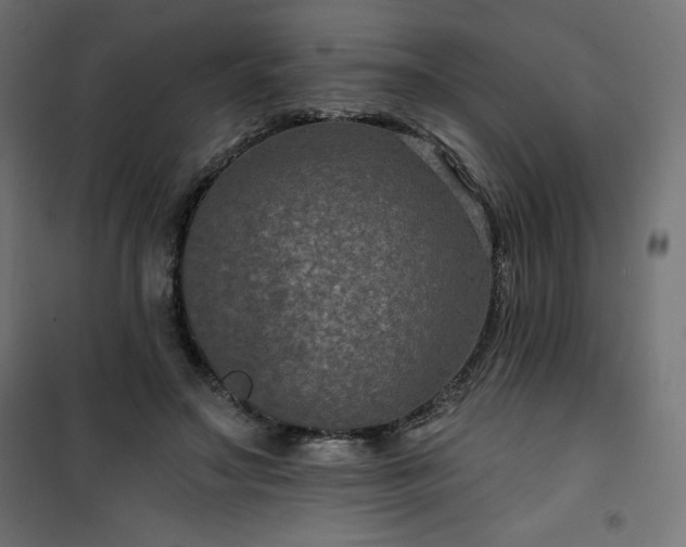 X0000101140499200807071129