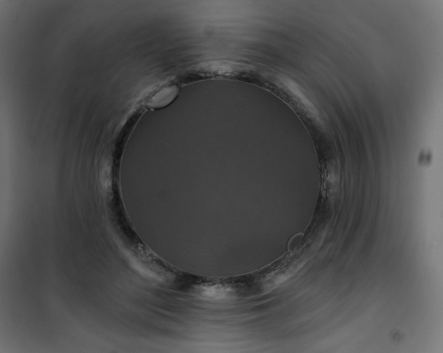 X0000101140500200807071129