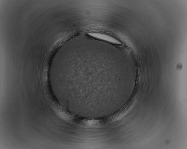 X0000101140501200807071129