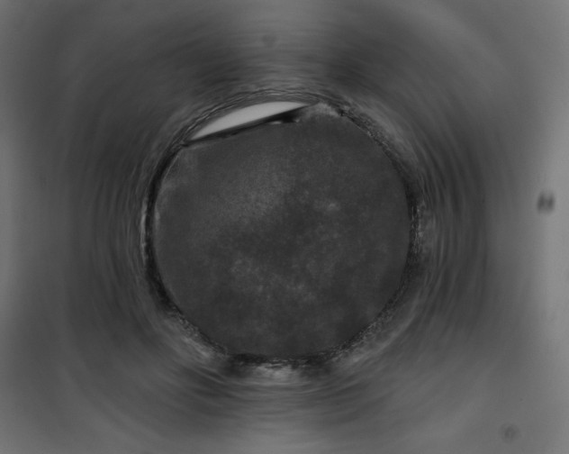 X0000101140502200807071129