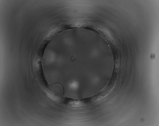 X0000101140503200807071129