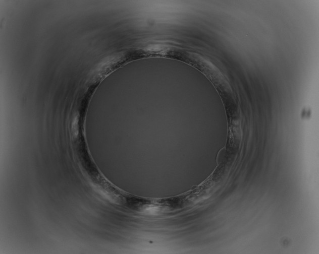 X0000101140504200807071129