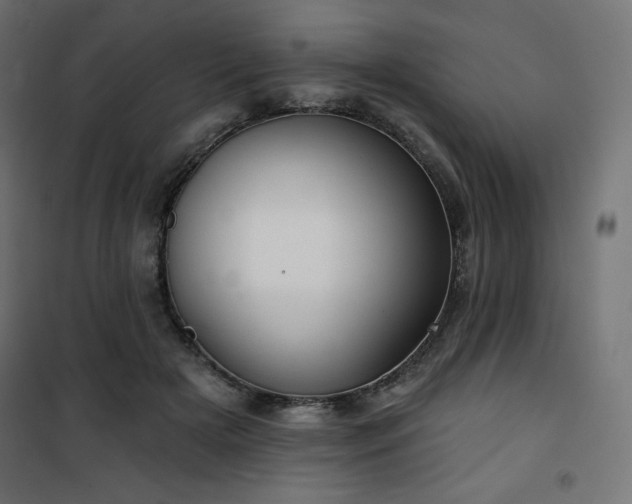 X0000101140505200807071129