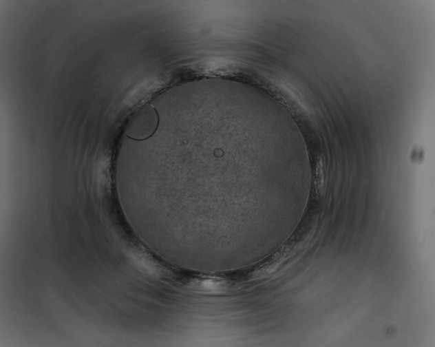 X0000101140506200807071129