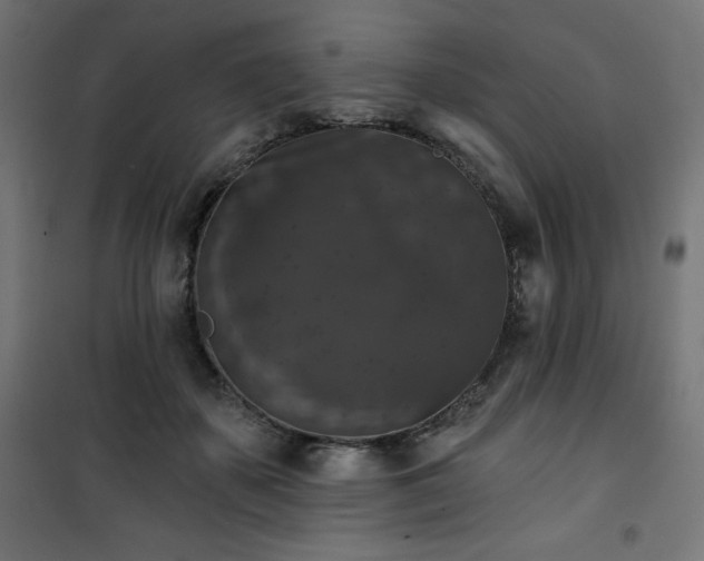 X0000101140507200807071129