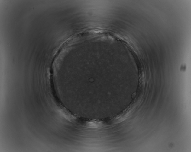 X0000101140508200807071129