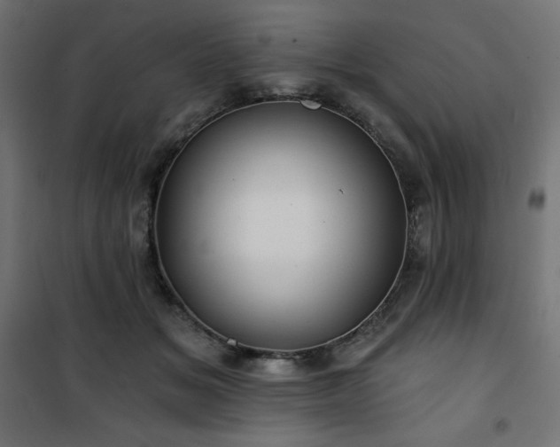 X0000101140509200807071129