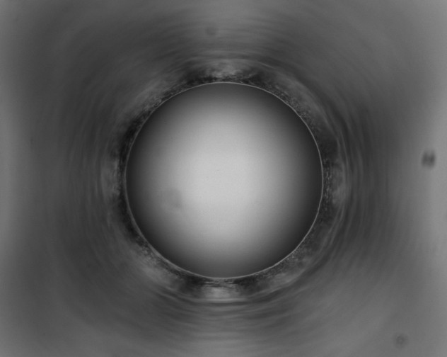 X0000101140510200807071129