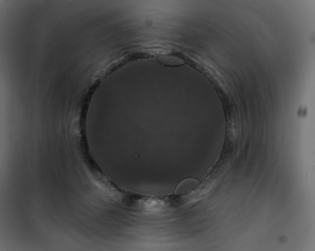 X0000101140512200807071129