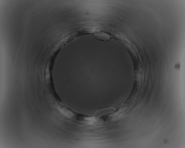 X0000101140516200807071129