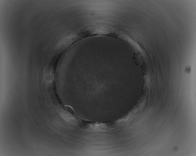 X0000101140517200807071129