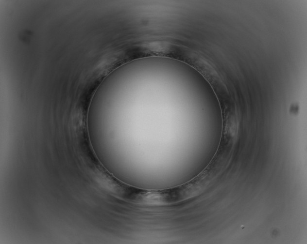 X0000101140518200807071129