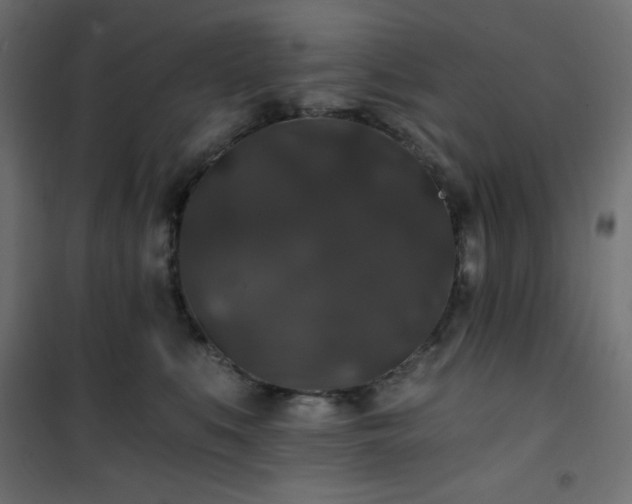 X0000101140519200807071129