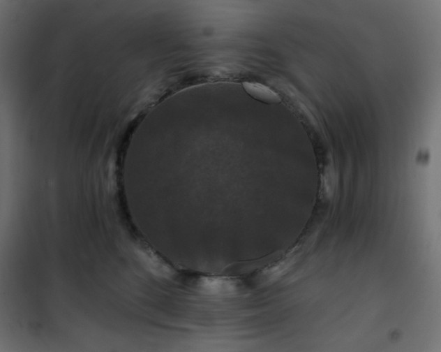 X0000101140520200807071129