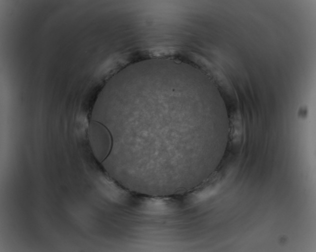 X0000101140523200807071129