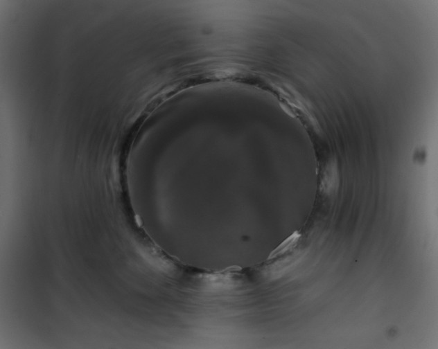 X0000101140524200807071129