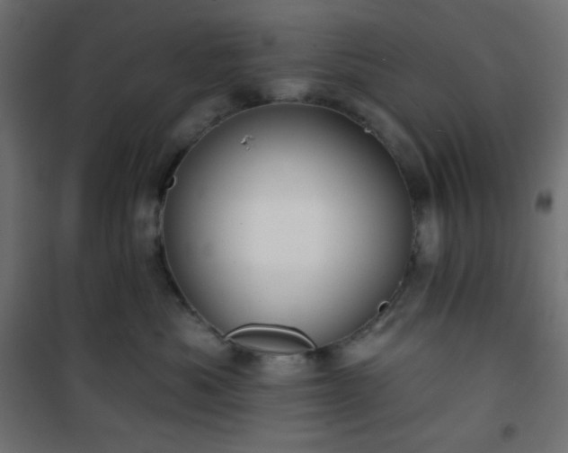 X0000101140525200807071129