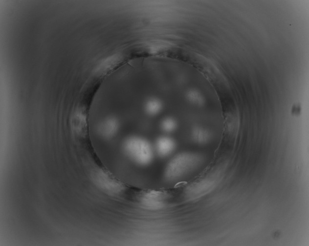 X0000101140527200807071129