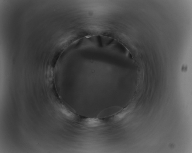 X0000101140528200807071129