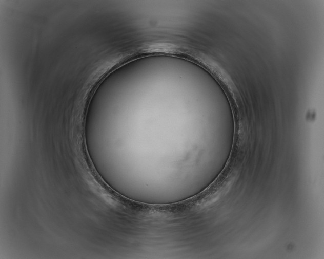 X0000101140529200807071128