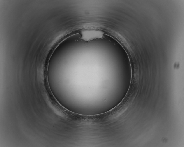 X0000101140530200807071128