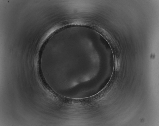 X0000101140531200807071128