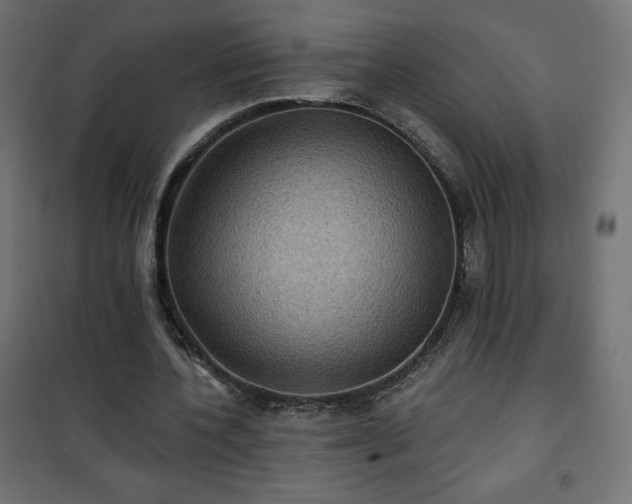 X0000101140532200807071128