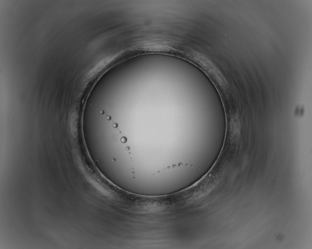 X0000101140533200807071128