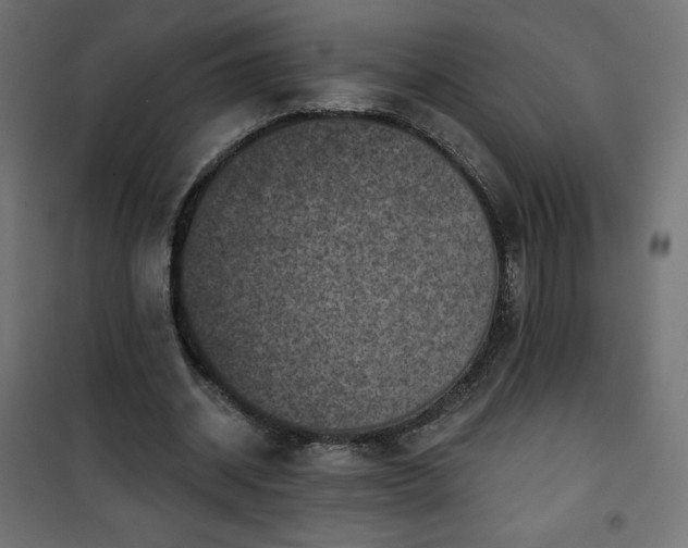 X0000101140534200807071128