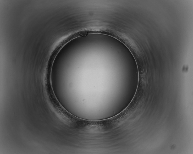 X0000101140536200807071128