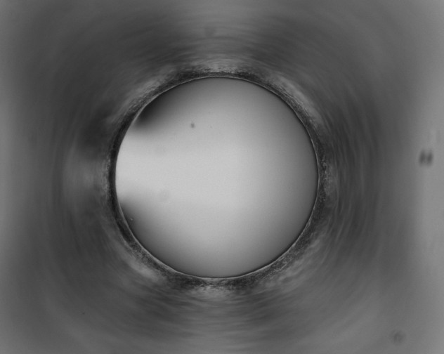 X0000101140537200807071128