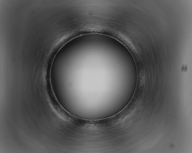 X0000101140538200807071128