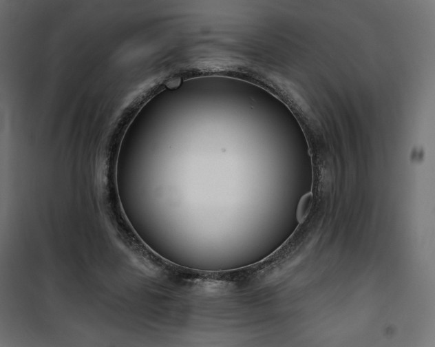 X0000101140539200807071128