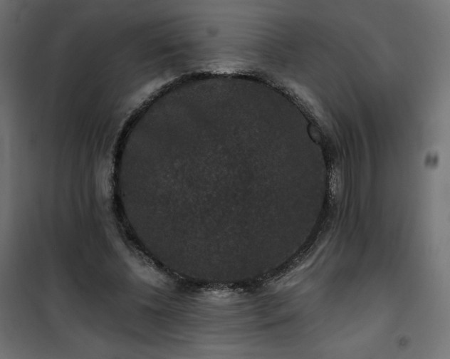 X0000101140540200807071128