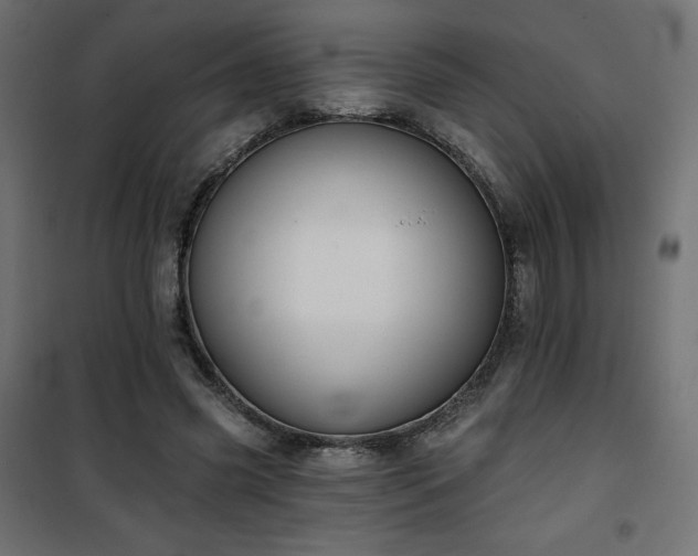 X0000101140541200807071128