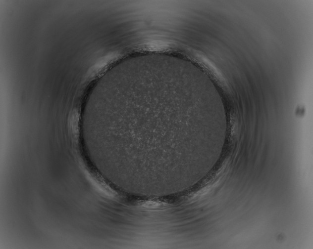 X0000101140542200807071128