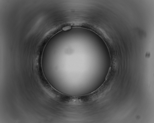 X0000101140543200807071128