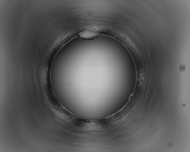 X0000101140544200807071128