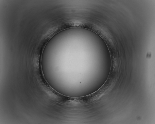 X0000101140545200807071128