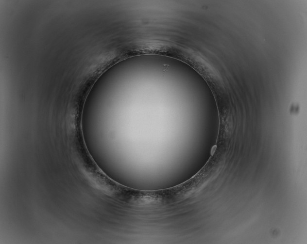 X0000101140546200807071128