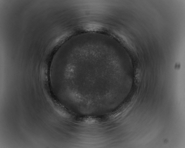 X0000101140547200807071128