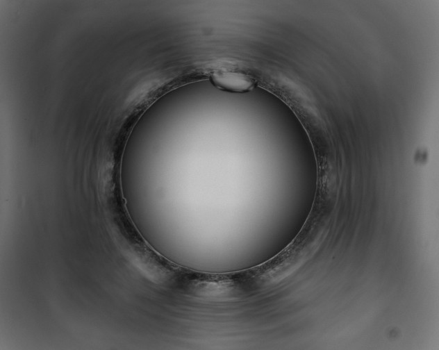 X0000101140548200807071128